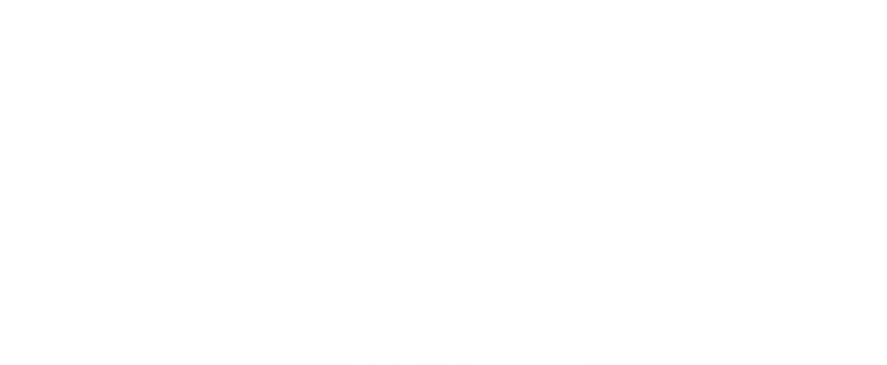 Morex Asset Management